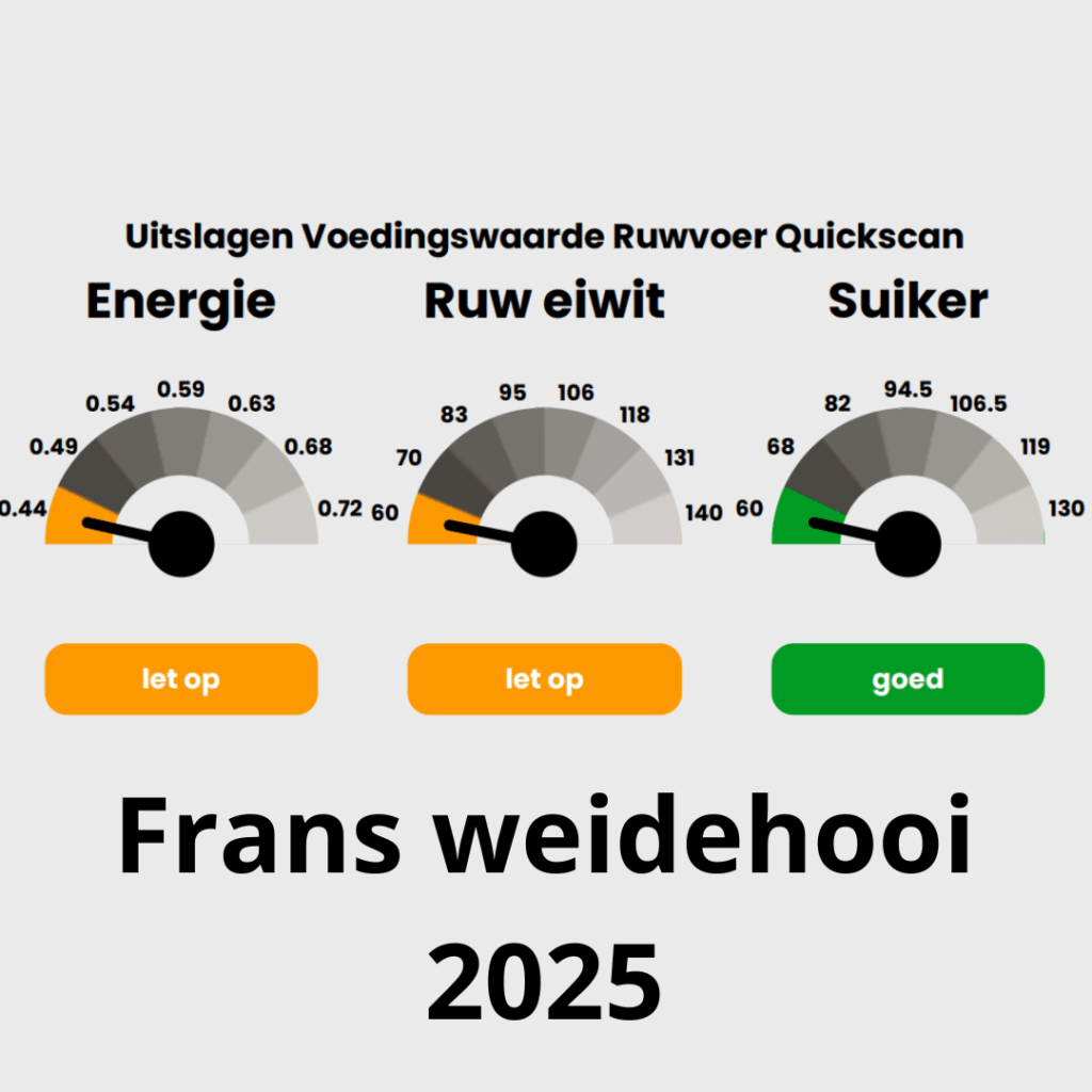 analyse Frans weidehooi tophooi 2025
